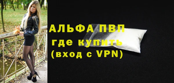 индика Алексин